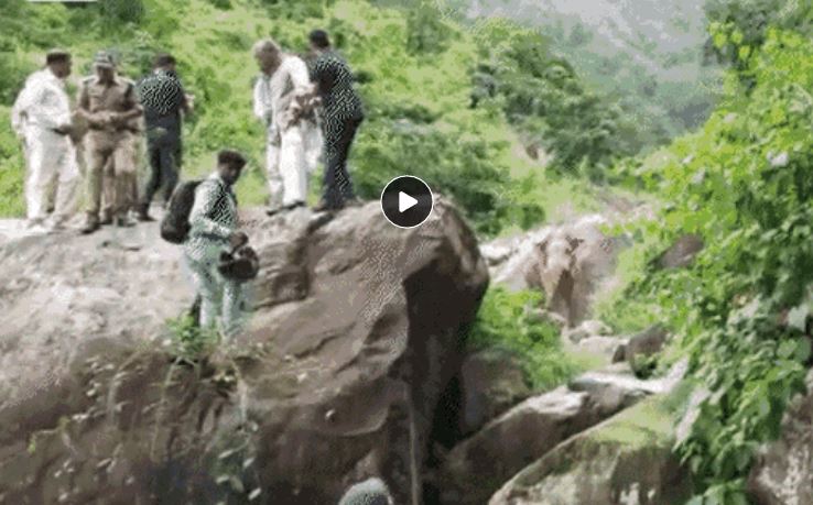 हाथी ने दौड़ाया,चट्‌टान पर चढ़े उत्तराखंड के पूर्व CM,15 मिनट तक हाईवे पर अफरा-तफरी