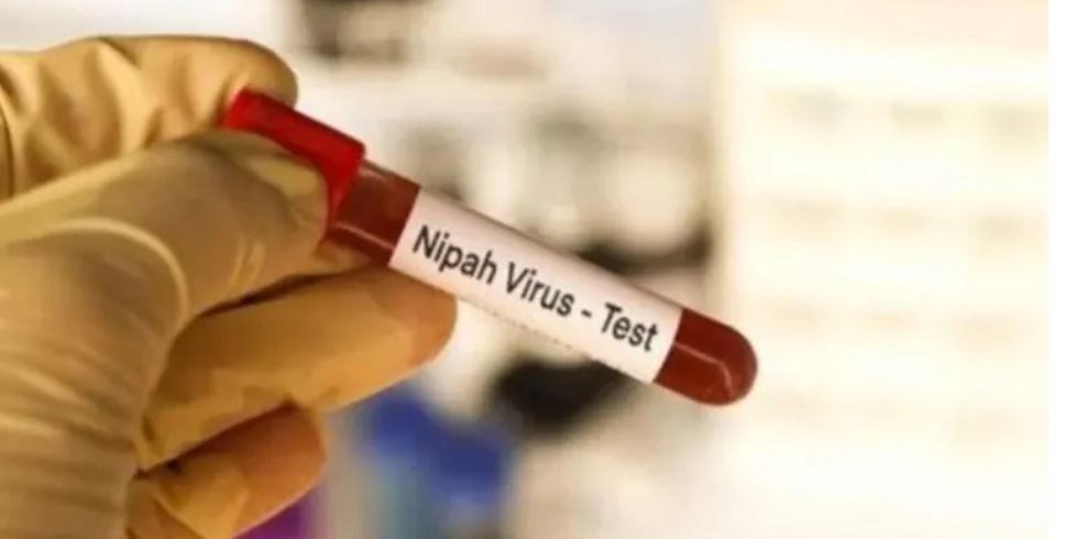 क्या हैं Nipah Virus के लक्षण,जिसके 2 संदिग्ध केस मिलने से केरल में मचा हड़कंप