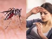 Dengue: बिहार में डेंगू का कहर, जहानाबाद में पहुंची 50 के पार मरीजों की संख्या