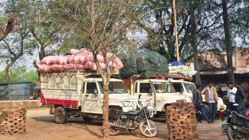 बगैर बिल्टी परिवहन करते चार पिकअप पकड़े गए