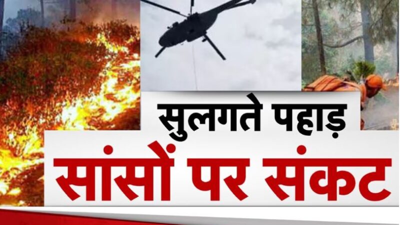 नैनीताल के जंगल में लगी आग हुई बेकाबू,बुझाने के लिए भीमताल से लाया जा रहा पानी