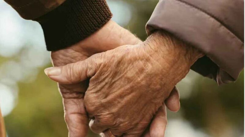 इकलौते बेटे ने किया सुसाइड,कोर्ट ने कपल को फिर से IVF के सहारे मां-बाप बनने की दी इजाजत