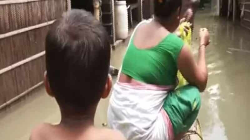 असम में बाढ़ से हाहाकार,नाव पर दूल्हा-दुल्हन;घर,इंसान… जानवर सब पानी में डूबे