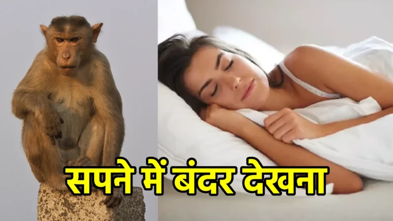 सपने में बंदर देखना – जानिए क्या है इसका गहरा अर्थ और संदेश