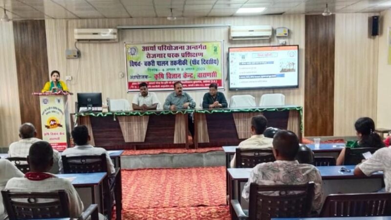 बकरी पालन से आत्मनिर्भरता की ओर बढ़ते कदम