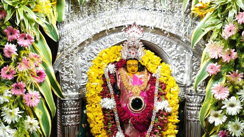 आदि शक्ति मां विशालाक्षी का हुआ जन्मोत्सव हरियाली श्रृंगार