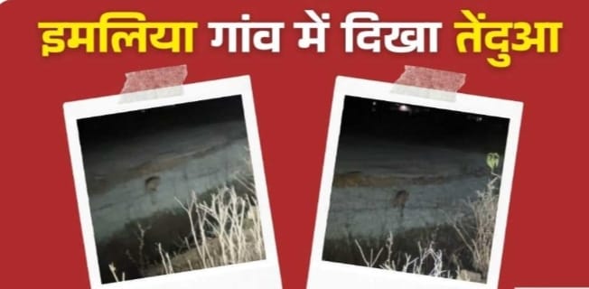 इमलिया गांव में तेंदुआ देखे जाने से हड़कंप
