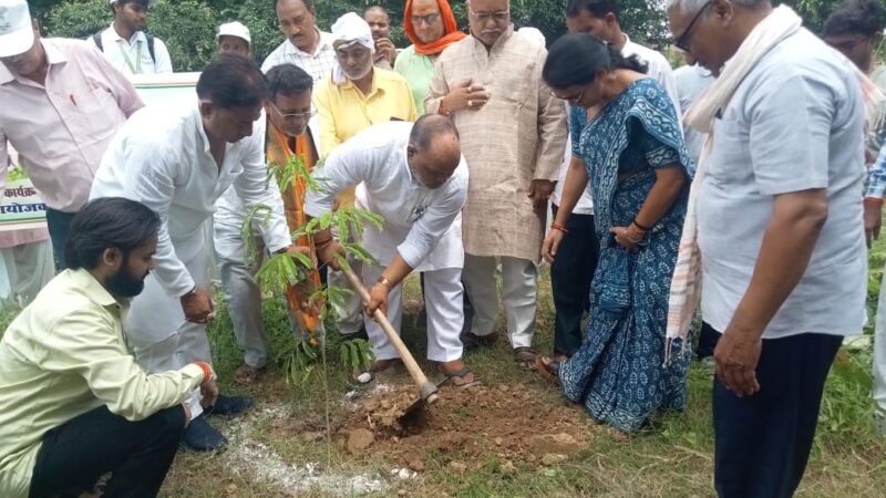 ‘एक पेड़ मां के नाम’ अभियान के तहत पौधारोपण व चित्रकला प्रतियोगिता संपन्न