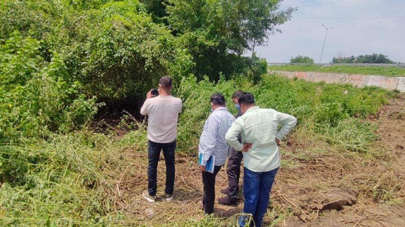 झाड़ियों में नरकंकाल मिलने से सनसनी