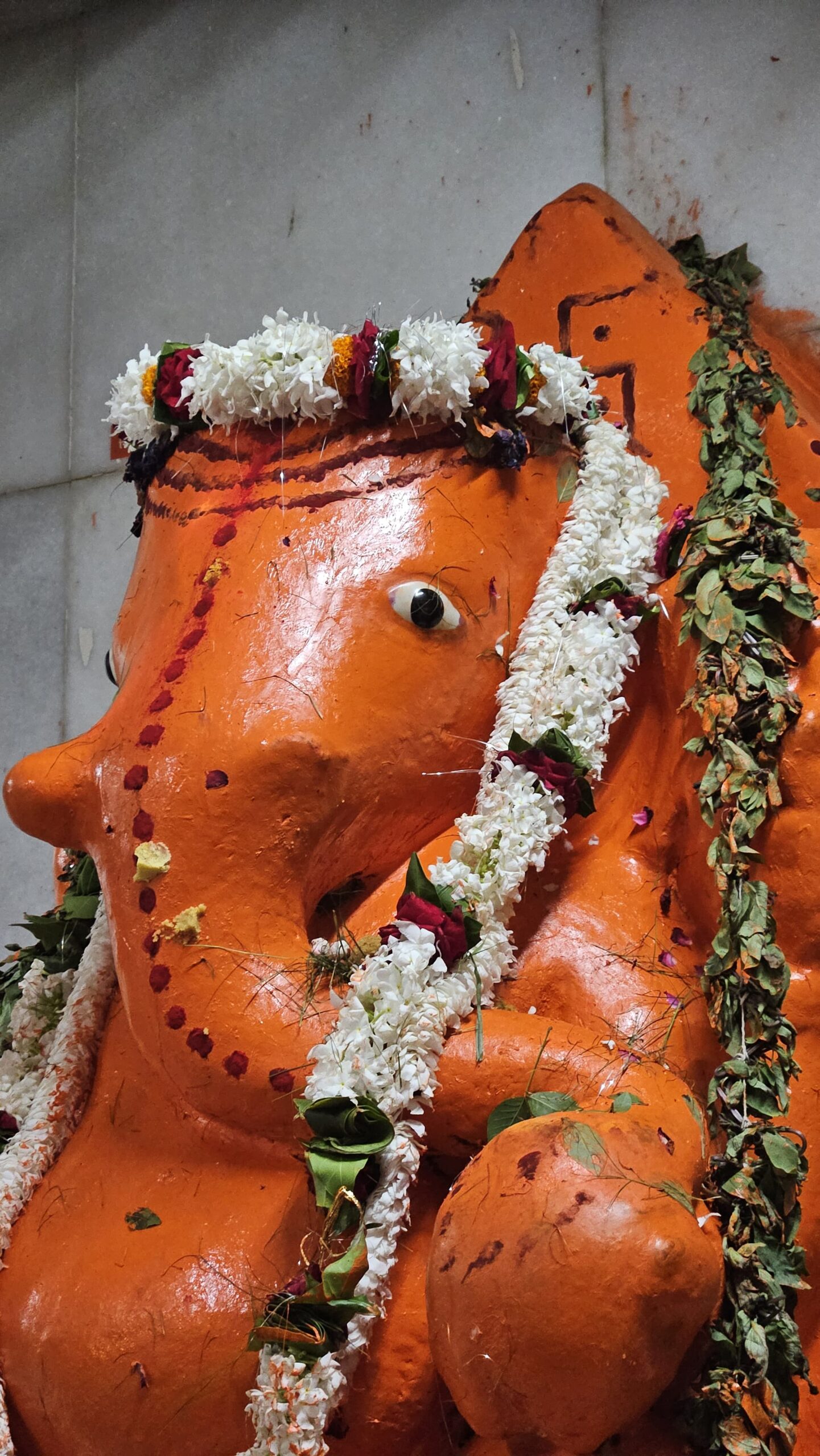 काशी विश्वनाथ धाम में गणेश चतुर्थी उत्सव: श्रद्धालुओं की उमड़ी भीड़, गूंजे हर हर महादेव के जयकारे