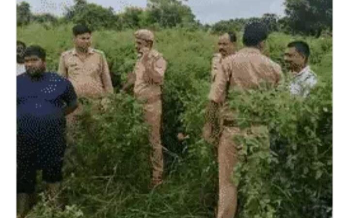 प्रयागराज : 10 साल के बच्चे की बेरहमी से हत्या