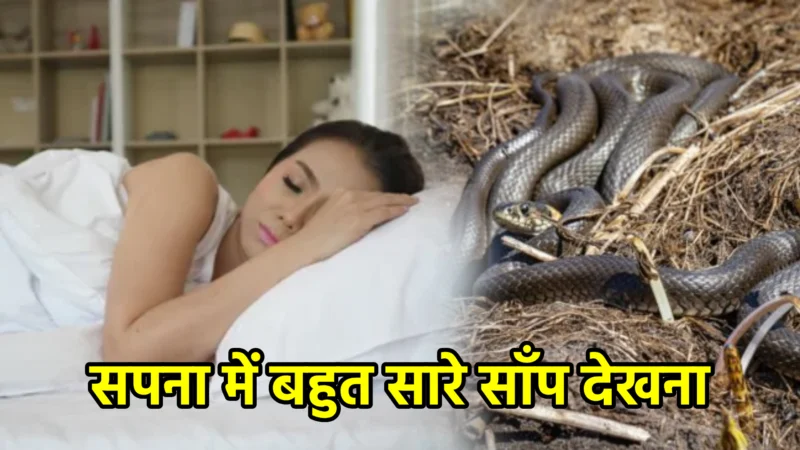 सपना में बहुत सारे साँप देखना – अर्थ, संकेत और उपाय