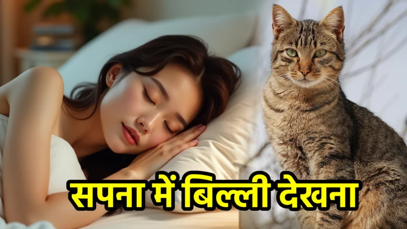 सपना में बिल्ली देखना – अर्थ और महत्व