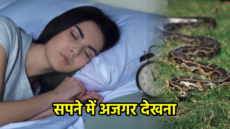 सपने में अजगर देखना – विस्तृत अर्थ और संकेत