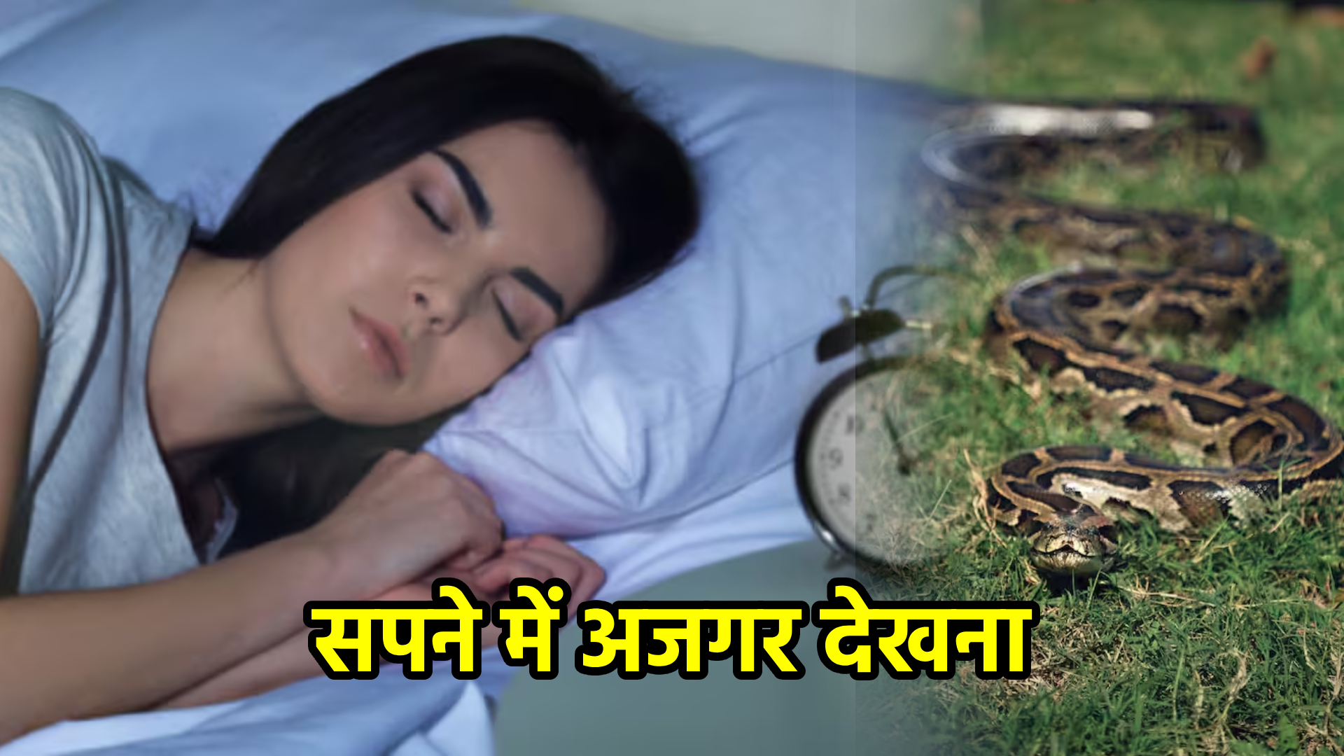 सपने में अजगर देखना – विस्तृत अर्थ और संकेत