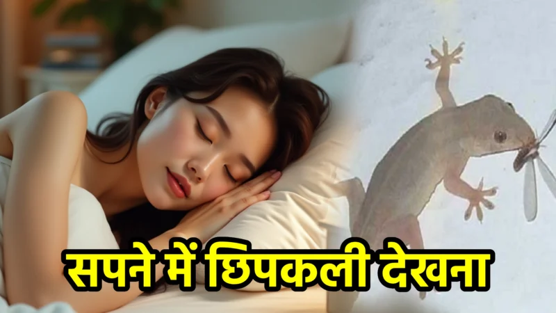 सपने में छिपकली देखना – अर्थ, संकेत और उपाय
