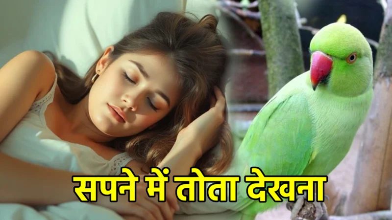 सपने में तोता देखना