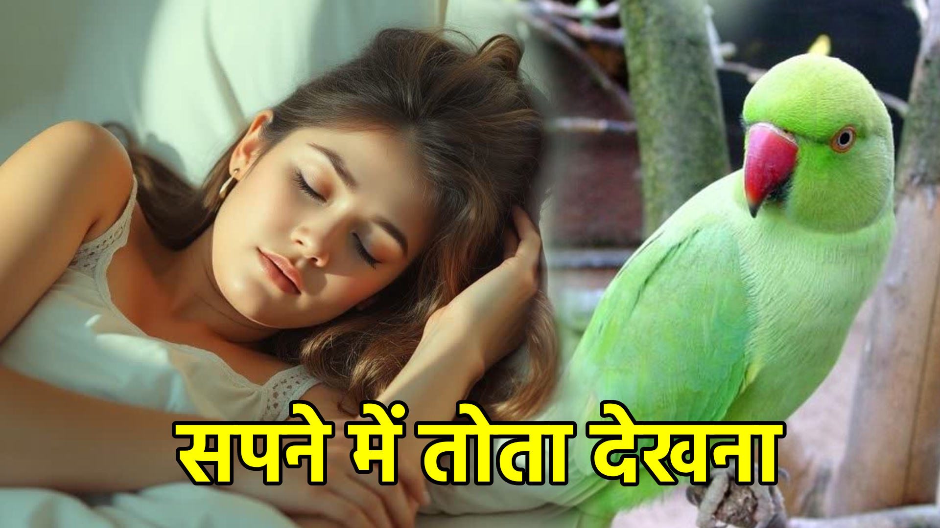 सपने में तोता देखना