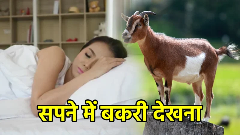 सपने में बकरी देखना – अर्थ, संकेत और उपाय