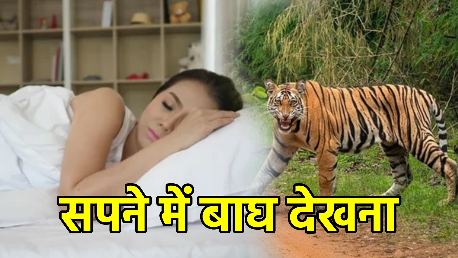 सपने में बाघ देखना – अर्थ, संकेत और उपाय