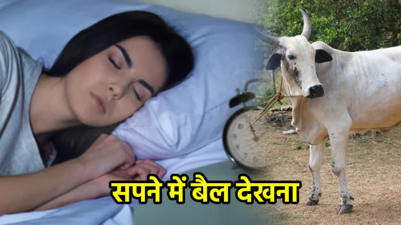 सपने में बैल देखना – विस्तृत व्याख्या