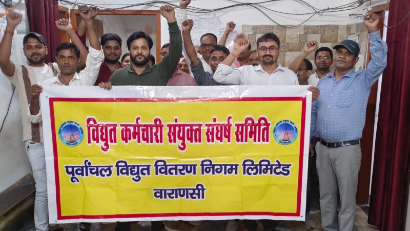 बिजली कर्मचारियों ने प्रदर्शन में की आगरा फ्रेंचाइजी घोटाले के जांच की मांग