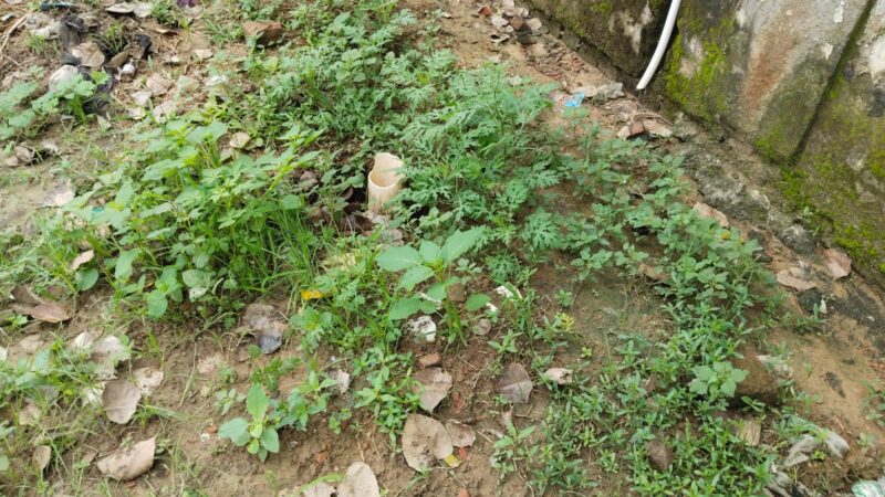 बरथौली में बोरिंग घपला: अधिकारियों की उदासीनता और लापरवाही ने सरकार की मंशा पर लगा रहे पलीता