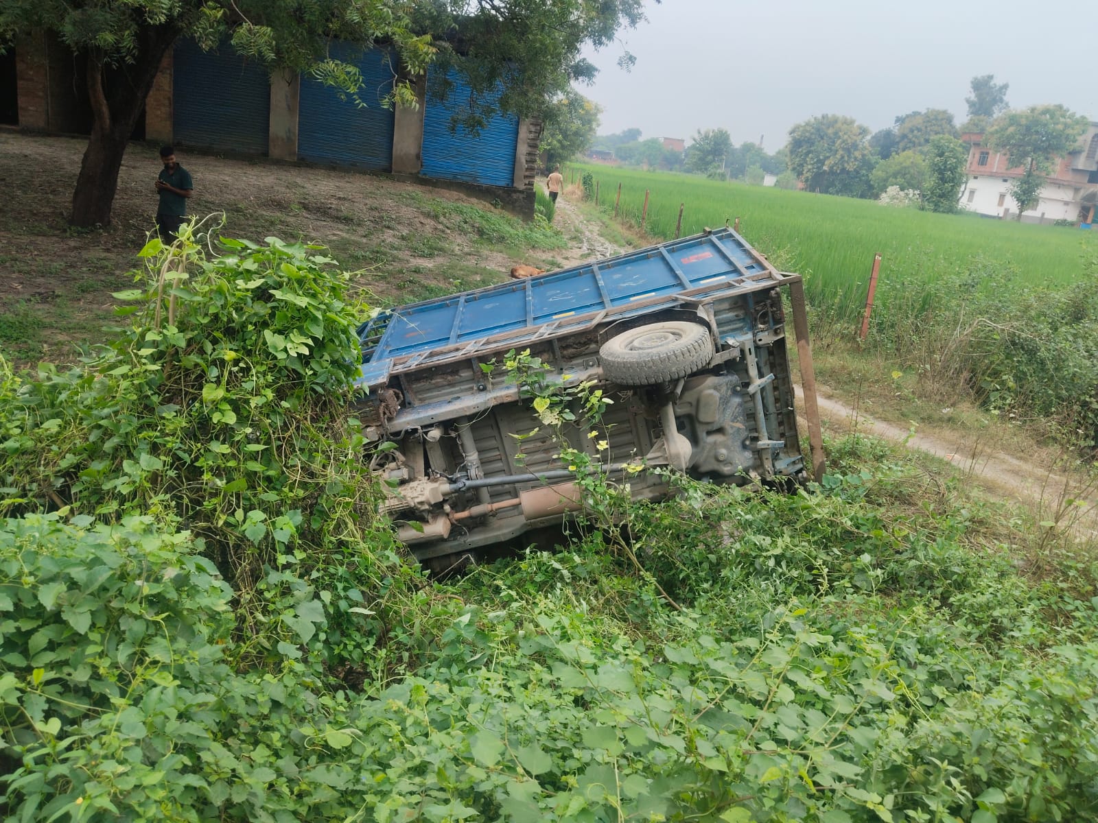 बाइक से टकराकर पलटी गाय लदी मैजिक, चालक फरार