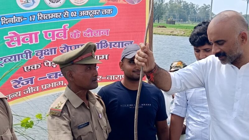 सेवा पर्व पर विधायक सुशील सिंह ने किया वृक्षारोपण