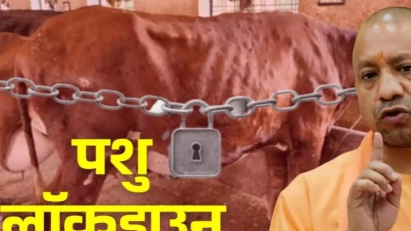 चंदौली सहित सात जिलों में लंपी वायरस पर रोक के लिए ‘पशु लॉकडाउन’