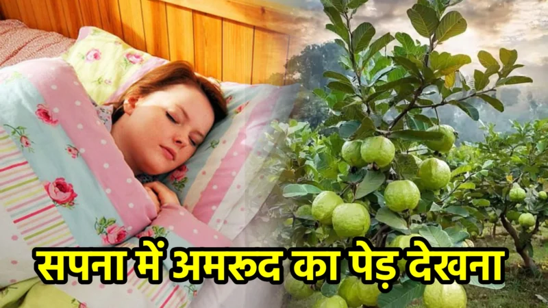 सपना में अमरूद का पेड़ देखना – अर्थ और संकेत