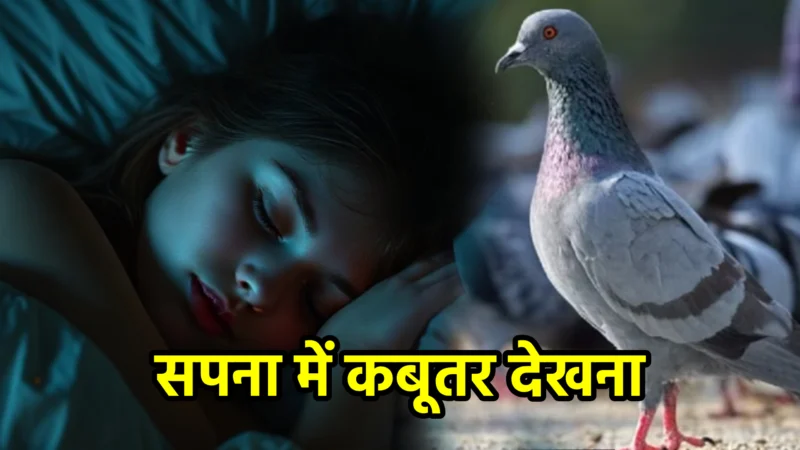 सपना में कबूतर देखना – अर्थ और संकेत