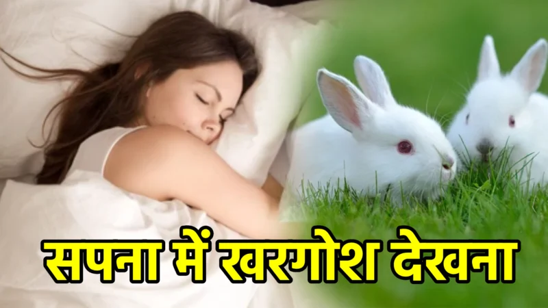 सपना में खरगोश देखना – अर्थ और संकेत