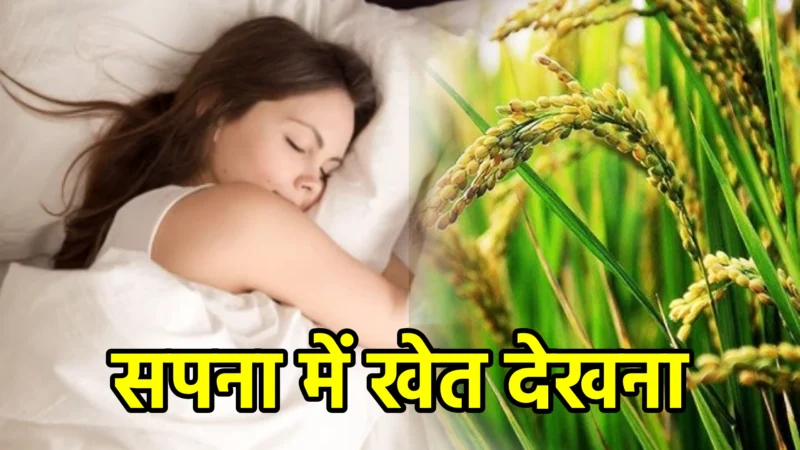 सपना में खेत देखना – अर्थ और संकेत