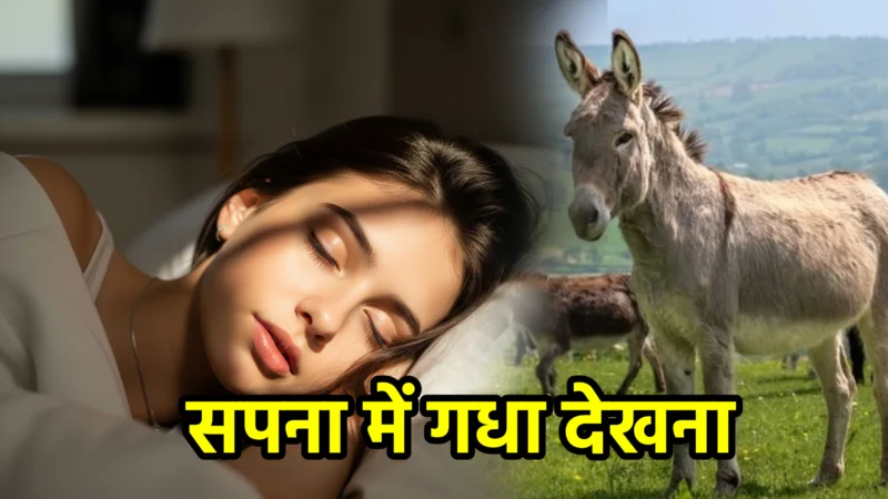 सपना में गधा देखना – अर्थ और महत्व