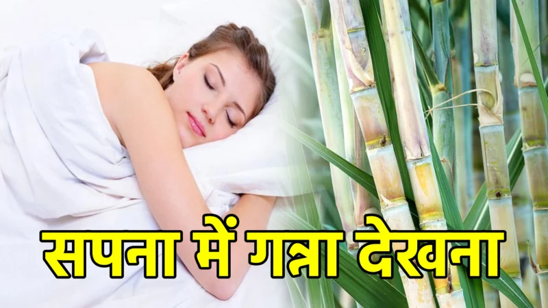 सपना में गन्ना देखना – अर्थ और संकेत