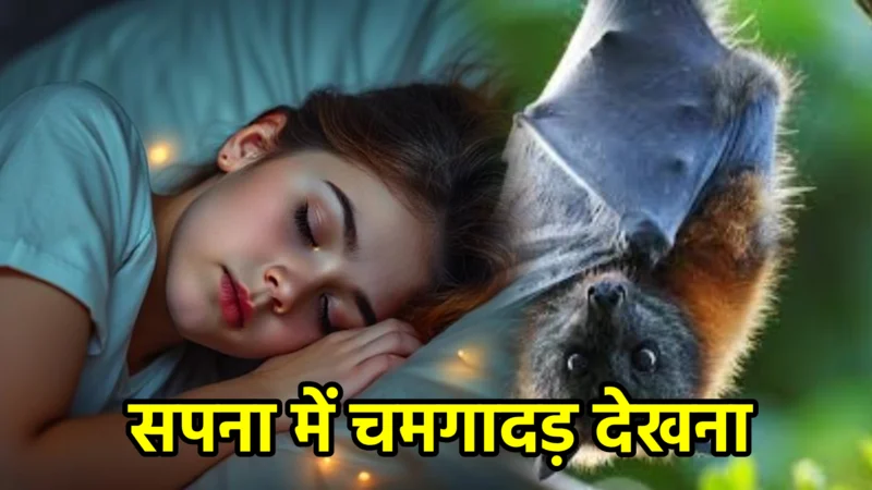 सपना में चमगादड़ देखना – अर्थ और संकेत