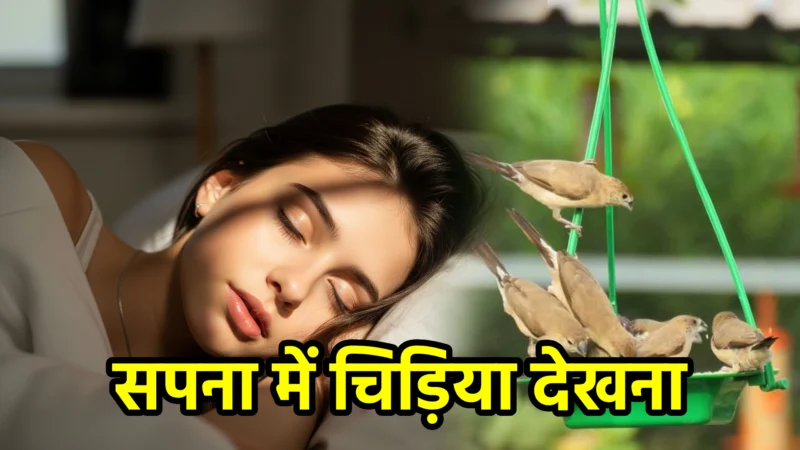 सपना में चिड़िया देखना – अर्थ और महत्व