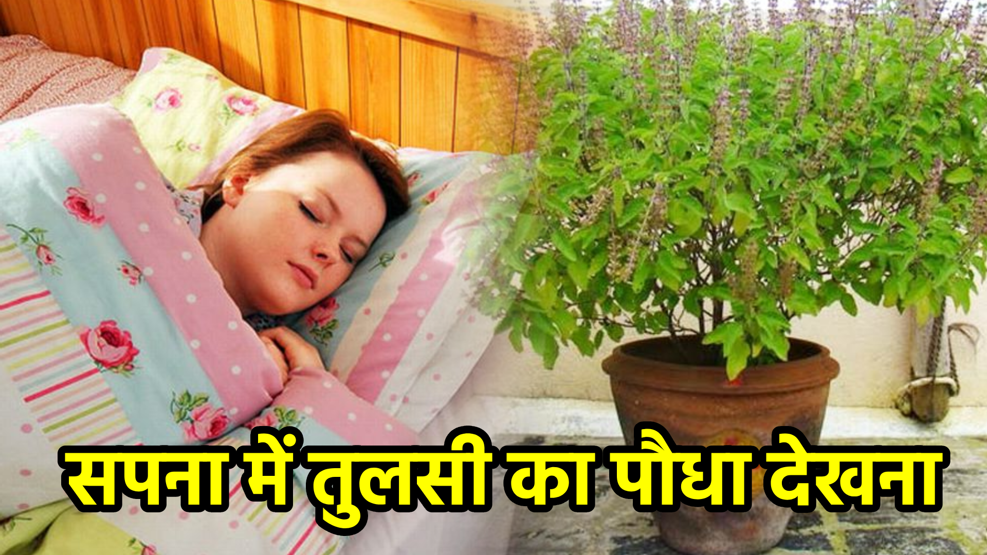 सपना में तुलसी का पौधा देखना – अर्थ और आध्यात्मिक संकेत