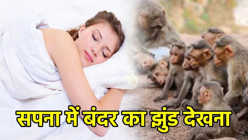 सपना में बंदर का झुंड देखना – अर्थ और संकेत