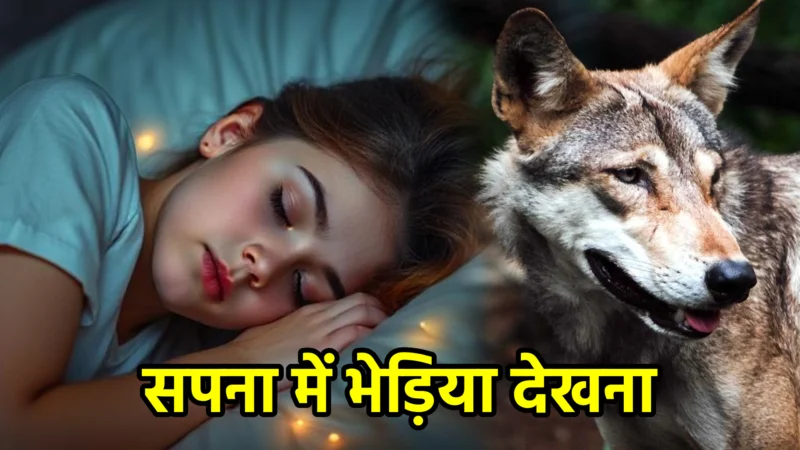 सपना में भेड़िया देखना – अर्थ और महत्व