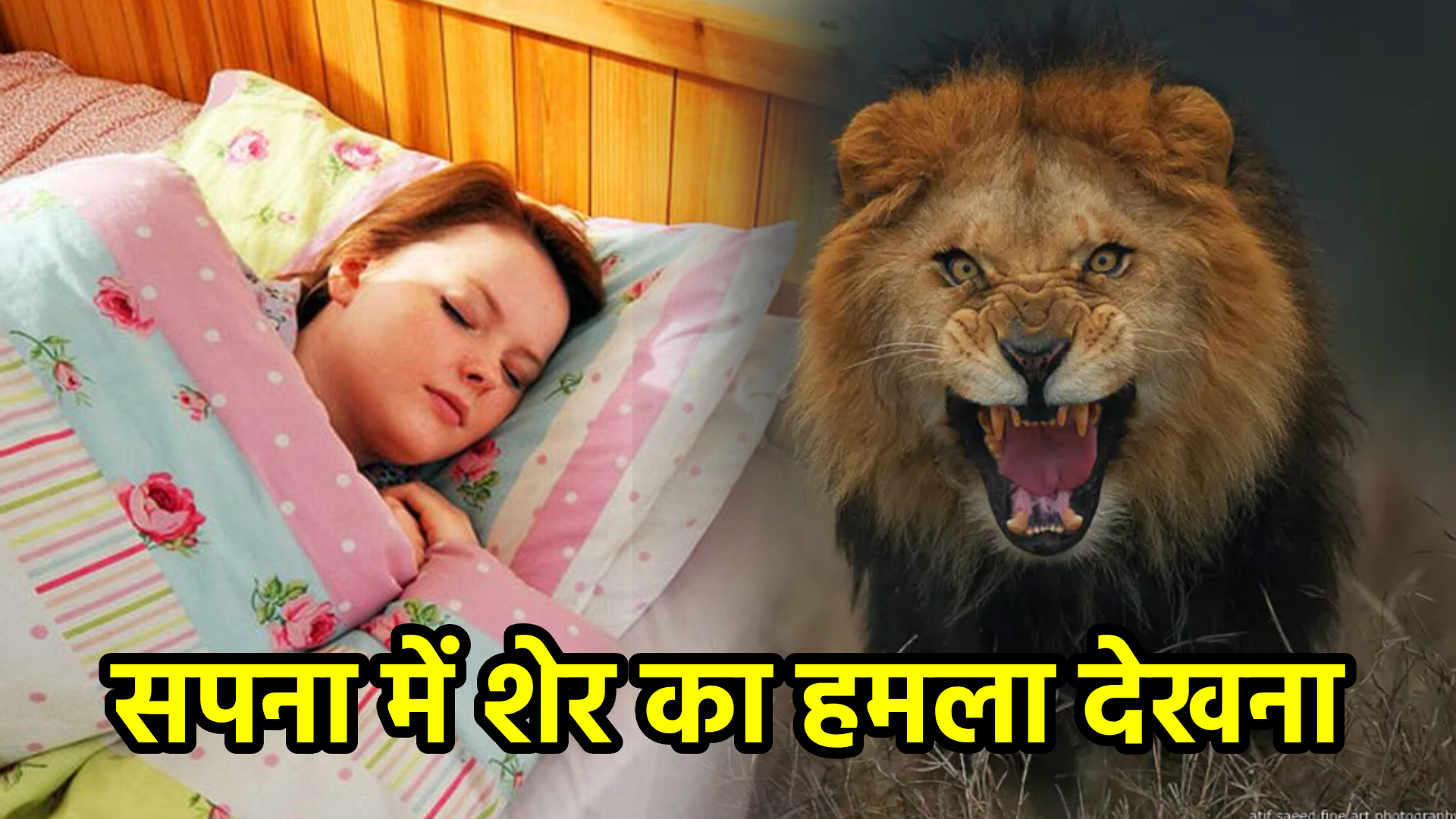 सपना में शेर का हमला देखना – अर्थ और संकेत