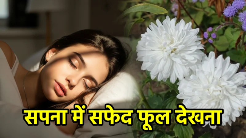 सपना में सफेद फूल देखना – अर्थ और संकेत