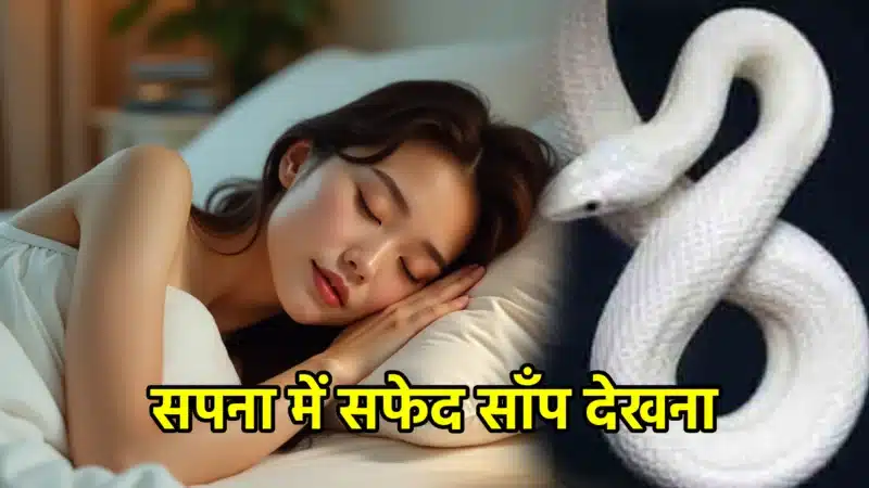 सपना में सफेद साँप देखना – विस्तृत व्याख्या