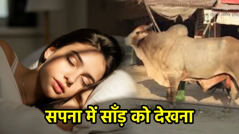 सपना में साँड़ (Sand) को देखना – अर्थ और संकेत
