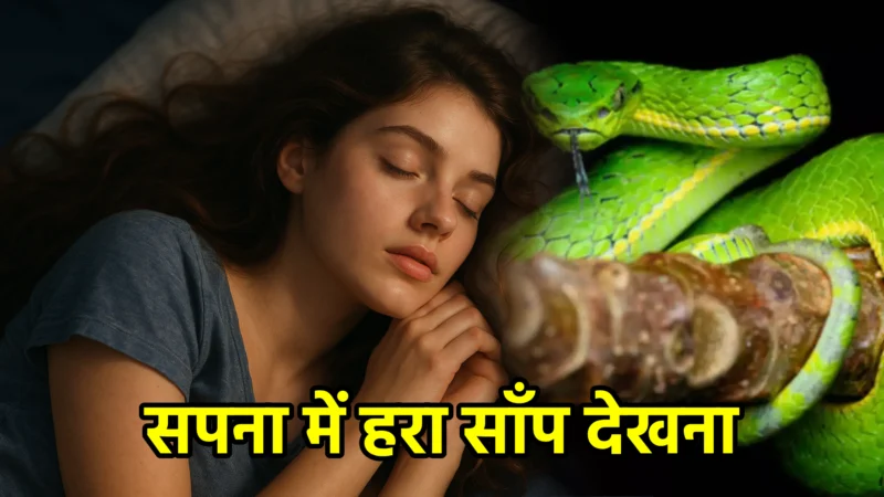 सपना में हरा साँप देखना – अर्थ और महत्व