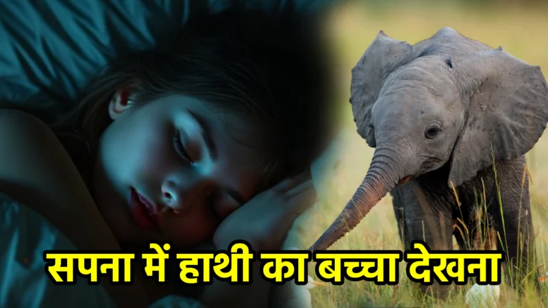 सपना में हाथी का बच्चा देखना – अर्थ और संकेत