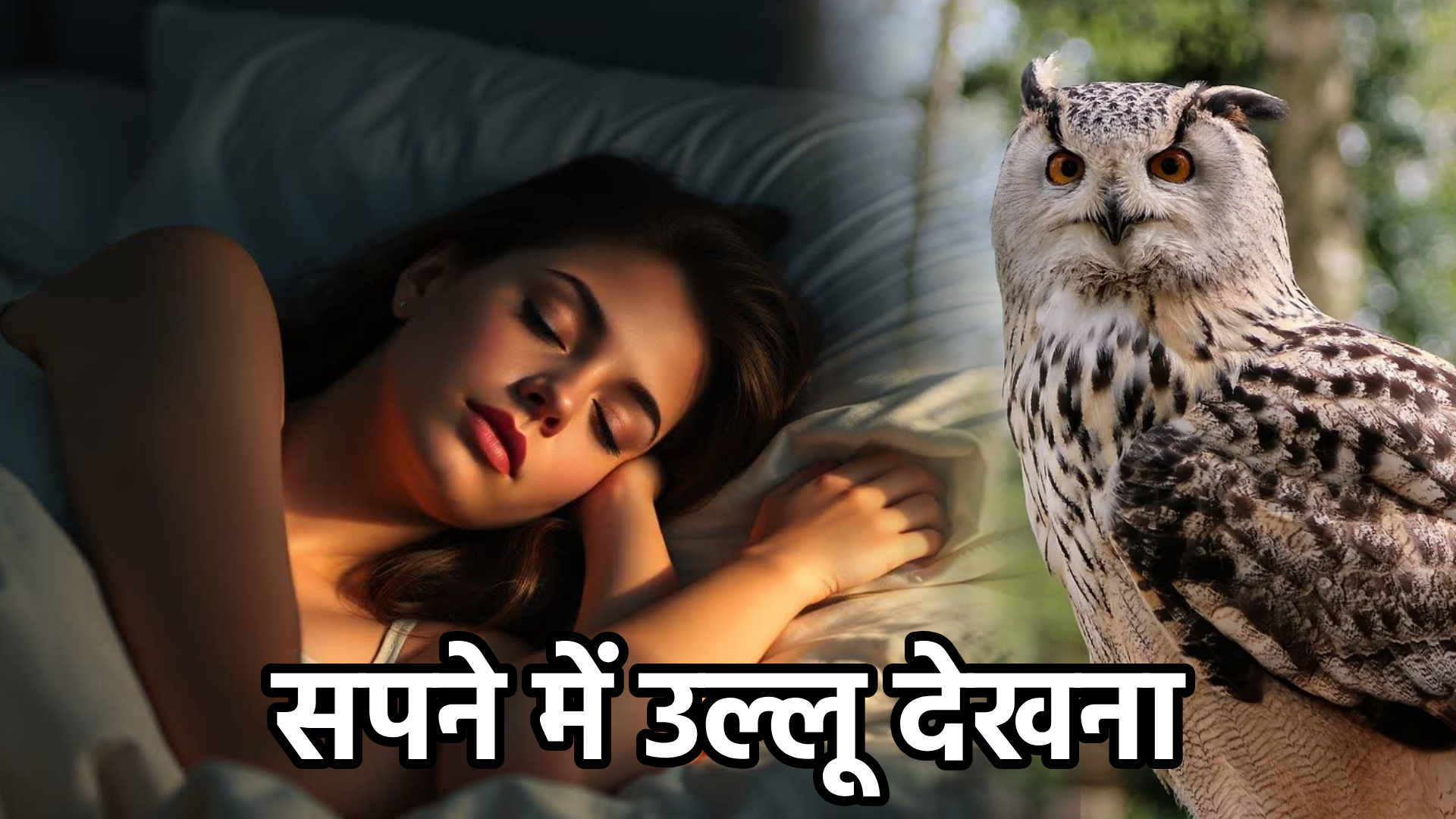 सपने में उल्लू देखना – अर्थ और संकेत