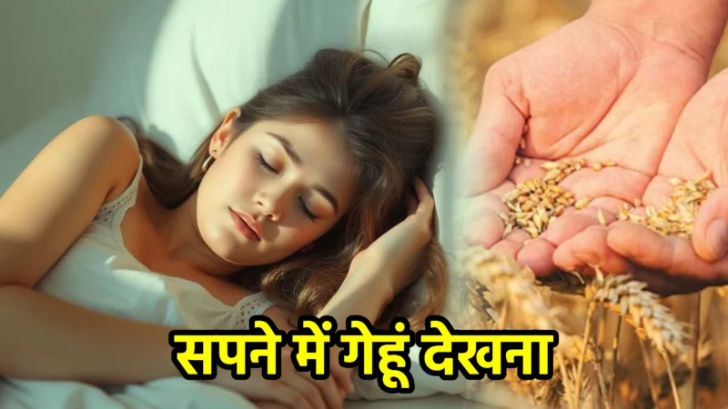 सपने में गेहूं देखना – सपना फल और महत्व
