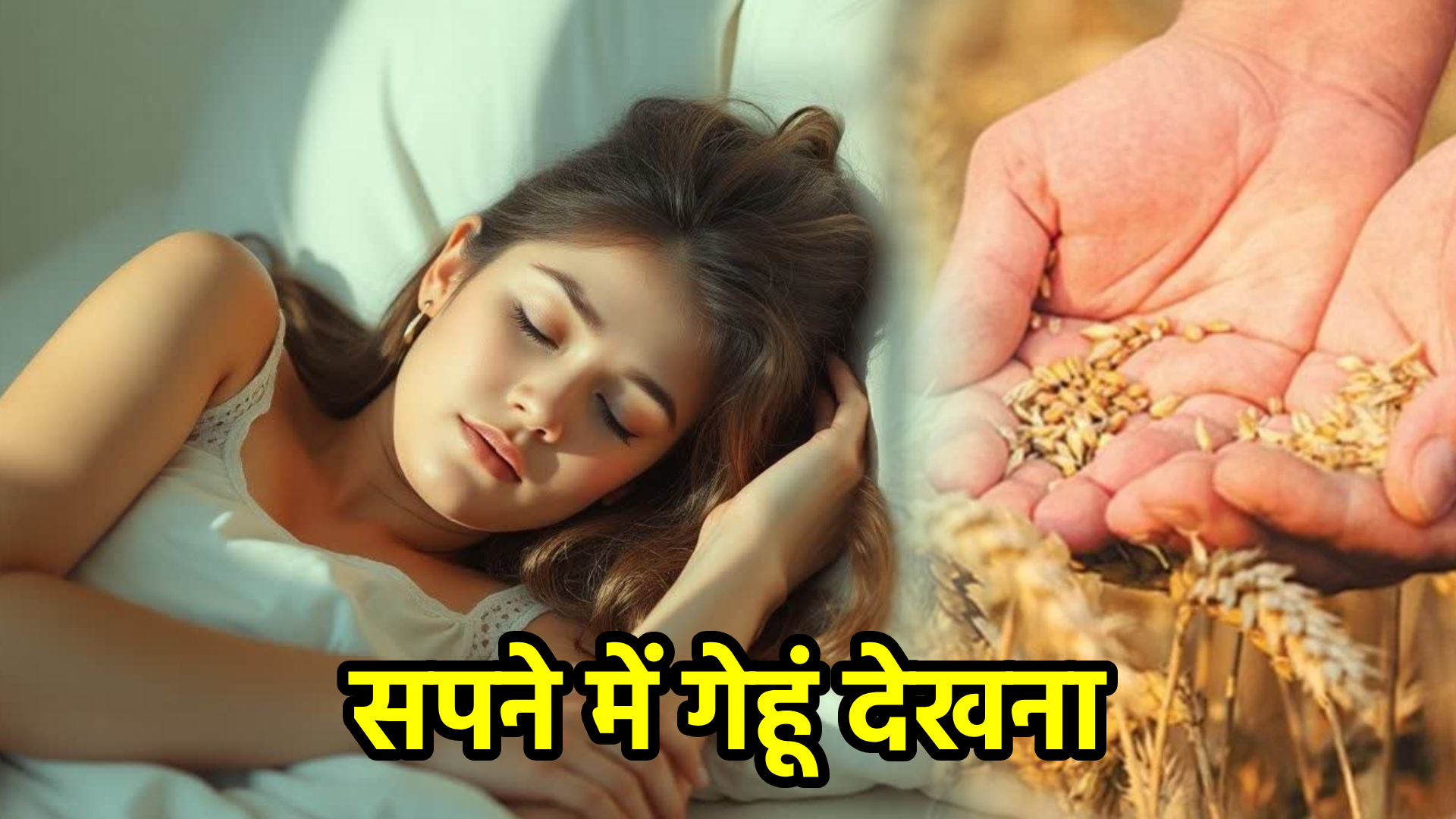 सपने में गेहूं देखना – सपना फल और महत्व